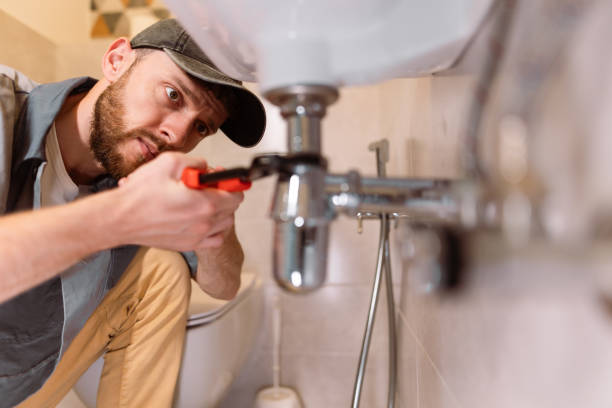 Best Drain Cleaning Services  in Roodhouse, IL
