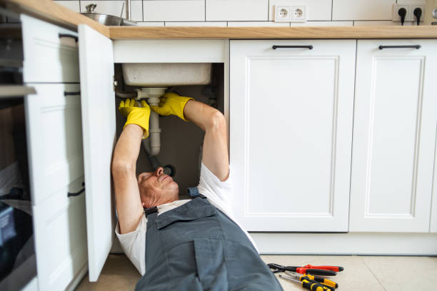 Best Emergency Plumber  in Roodhouse, IL