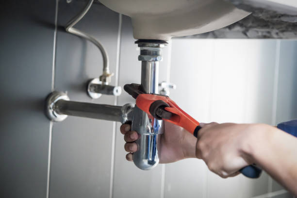 Best Plumbing Services Near Me  in Roodhouse, IL