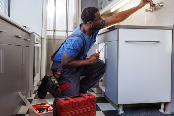 Best 24-Hour Plumber Near Me  in Roodhouse, IL